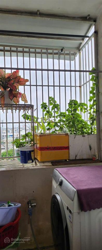 Chung cư gia phú bình tân  căn góc dt rộng, thoáng mát  nhà mới ở liền