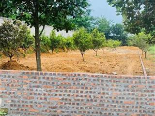 Gần trục đường uỷ ban cũ yên bài em còn duy nhất 1 lô 590m2 thổ cư 150m mặt tiền 12m. 0988 908 ***
