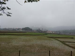 Đất yên trung. 528m view phía sau bám trọn cánh đồng. giá đầu tư.
e hiền lvcc 0988 908 ***