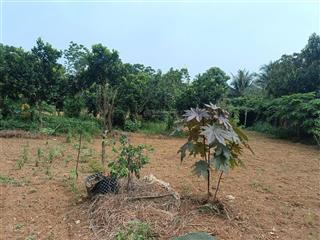 Bán đất vân hoà ba vì. lô đất 1650m mặt tiền hơn 20m .giá yêu thương. 0988 908 ***
