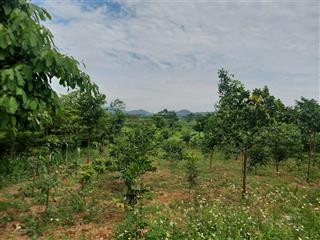 Yên bài. đất khai hoang 360m. view hết nước chấm. giá nhích 1 tỷ e hiền 0988 908 ***