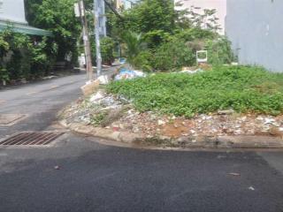 Bán đất lô góc 2 mặt tiền khu 17,3ha an phú, quận 2, 87.5m², giá 17.3 tỷ