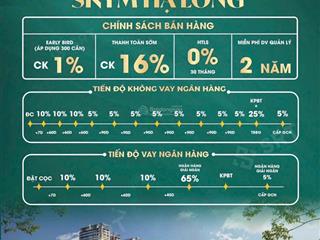 Bán cắt lỗ căn hộ giá rẻ và đẹp nhất bãi cháy
