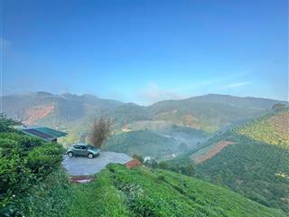 Bán vườn chè cành tại đường mai thúc loan, phường 3, bảo lộc