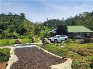 Bán lô đất nghỉ dưỡng vườn sầu riêng sen lẫn cà phê, sẵn thổ cư có suối chảy quanh vườn