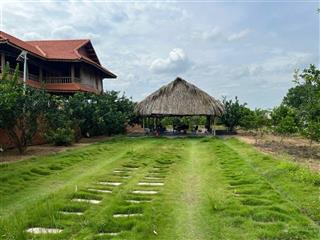 Bán đất khu vườn bạch đằng tân uyên bình dương tphcm