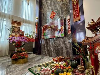 Bán biệt thự phố tuyệt đẹp, góc 2 mặt tiền đường cửu long q.tân bình, dt 8x 19m, giá chỉ 38 tỷ tl