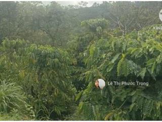 Đất giáp suối quảng tín 350tr, cách ql14 chỉ 1,9km 0938 609 ***