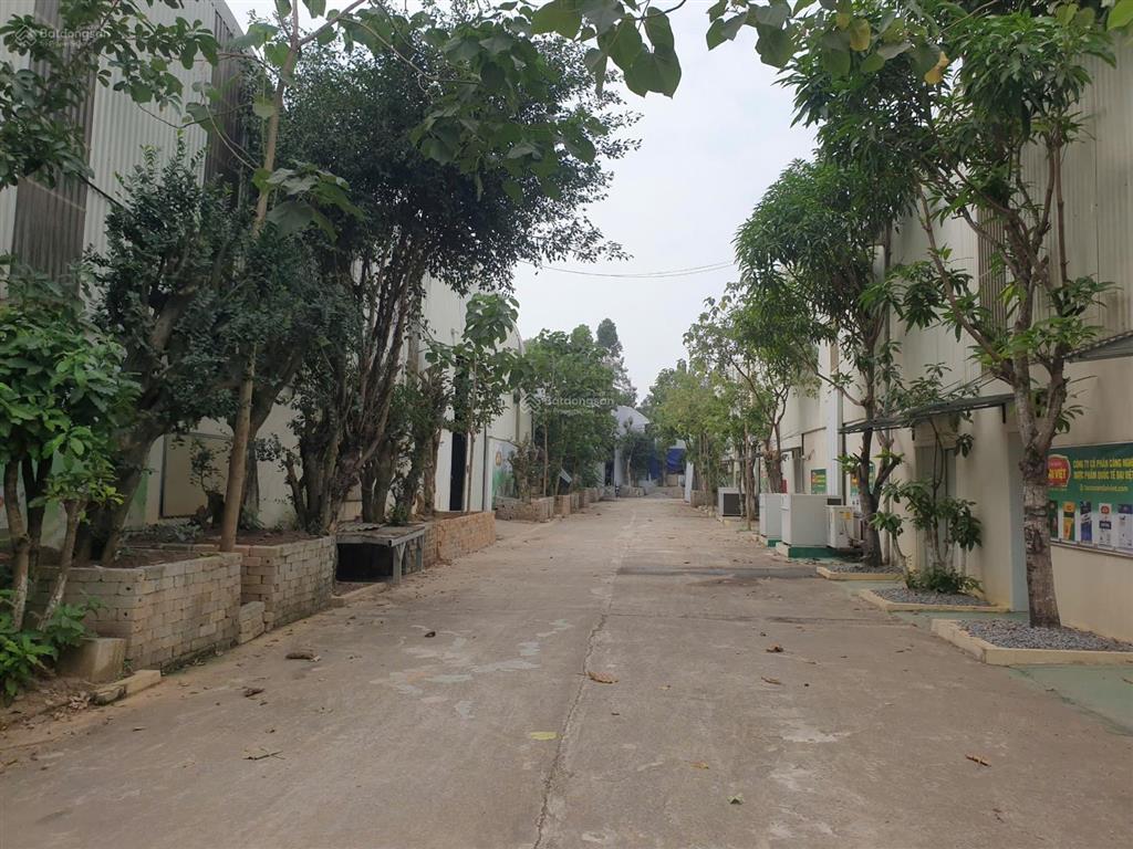 Cho thuê kho xưởng 15000m2 mặt ql1a hữu lũng lạng sơn pccc, vat. đầy đủ có cắt lẻ