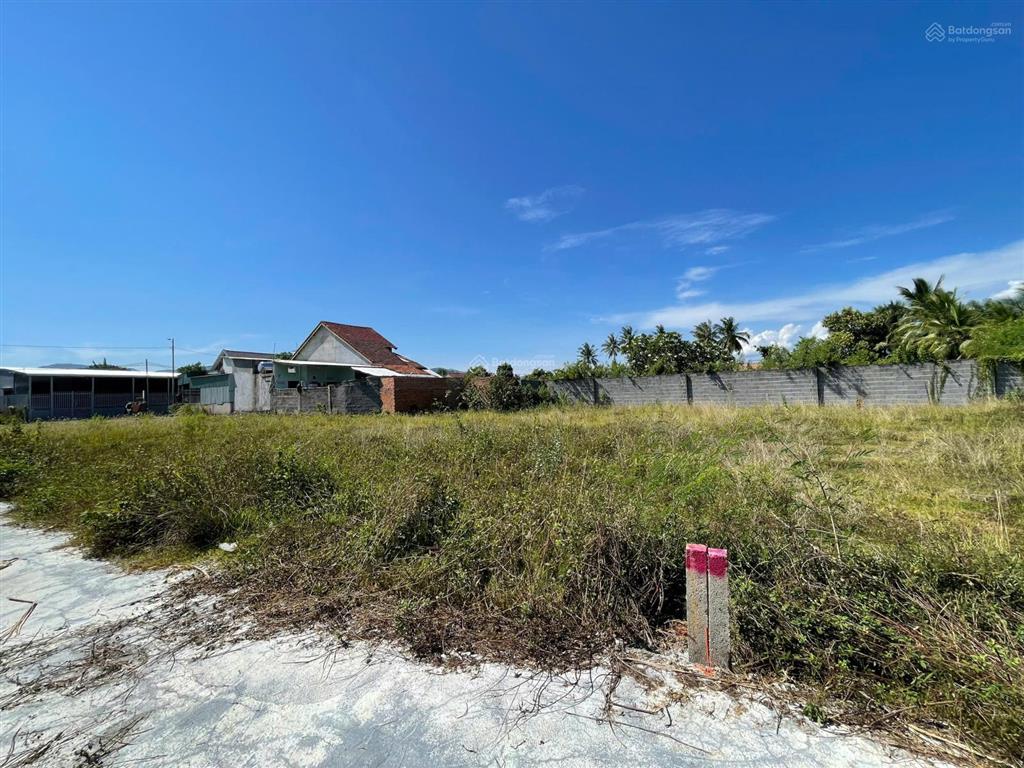 Bán đất diên lạc cách tl2 chỉ 80m 135.1m² full thổ cư, ô tô tới đất, giá 900 triệu