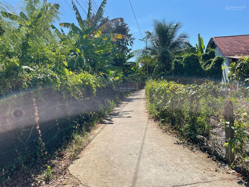 Bán đất diên lạc cách tl2 chỉ 80m 135.1m² full thổ cư, ô tô tới đất, giá 900 triệu