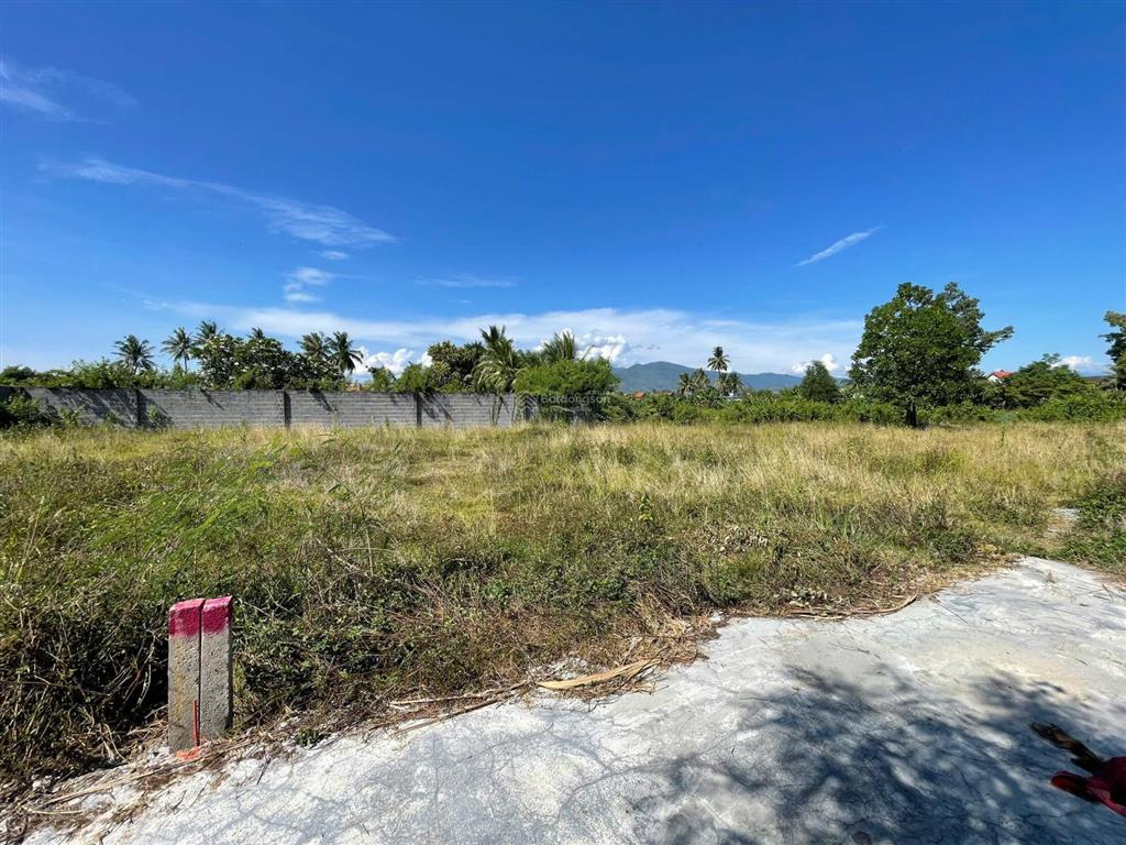 Bán đất diên lạc cách tl2 chỉ 80m 135.1m² full thổ cư, ô tô tới đất, giá 900 triệu