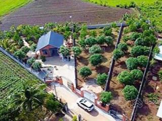 639m2 60tc ngay trung tâm ngãi giao, châu đức 2,3 tỷ