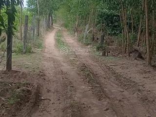 Long mỹ gần biển 1,4ha bán 400tr/sào