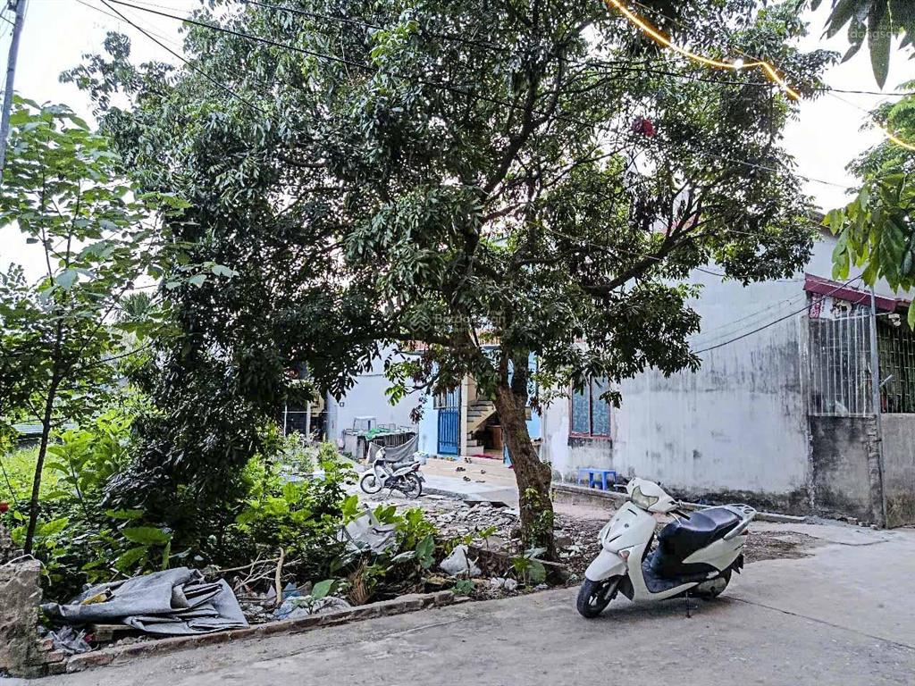 Bán đất đông mỹ thanh trì  cơ hội an cư dễ dàng  40.6m2  chỉ 2.6 tỷ