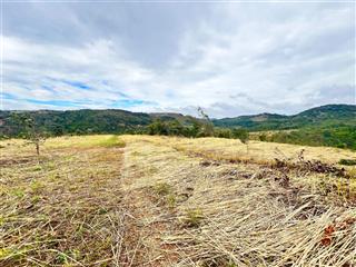 Cần bán gấp 4ha đất trồng cà phê giáp suối nước chảy quanh năm