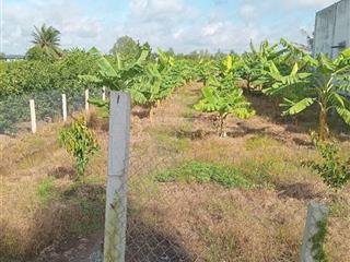 Bán 1tỷ5 tổng dt 1006,4m2 đất (12x84m). có 200m2 thổ cư và 806,4m2 đất vườn đường ôtô đậu ngay đất