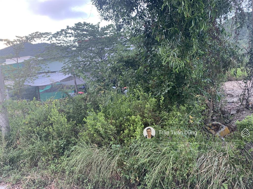 Bán gấp lô đất mặt tiền đường t12 giá 735 triệu