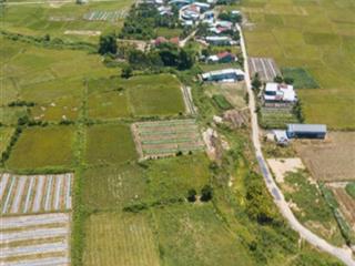 Bán đất tại bình lộc, giá thỏa thuận thêm, 98m2, mặt tiền 5m, ngõ rộng 7m