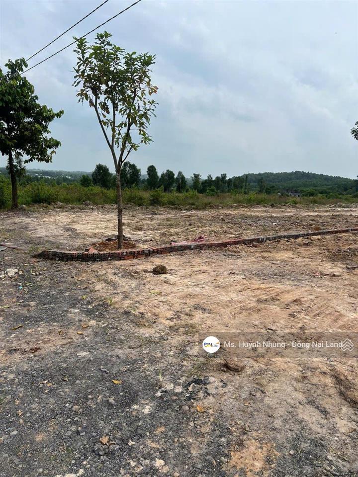 Đất nền biệt thự phước tân, biên hòa giá tốt, sổ riêng, gần sân bay long thành, đường 8m, giá rẻ