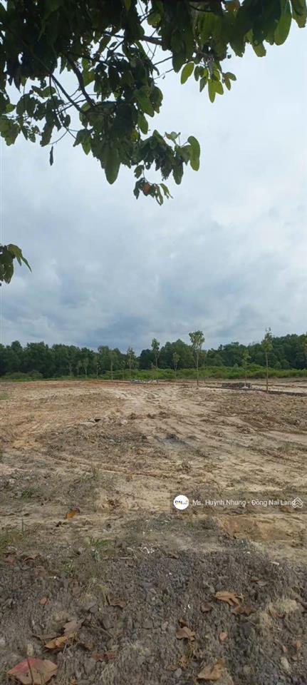 Đất nền biệt thự phước tân, biên hòa giá tốt, sổ riêng, gần sân bay long thành, đường 8m, giá rẻ