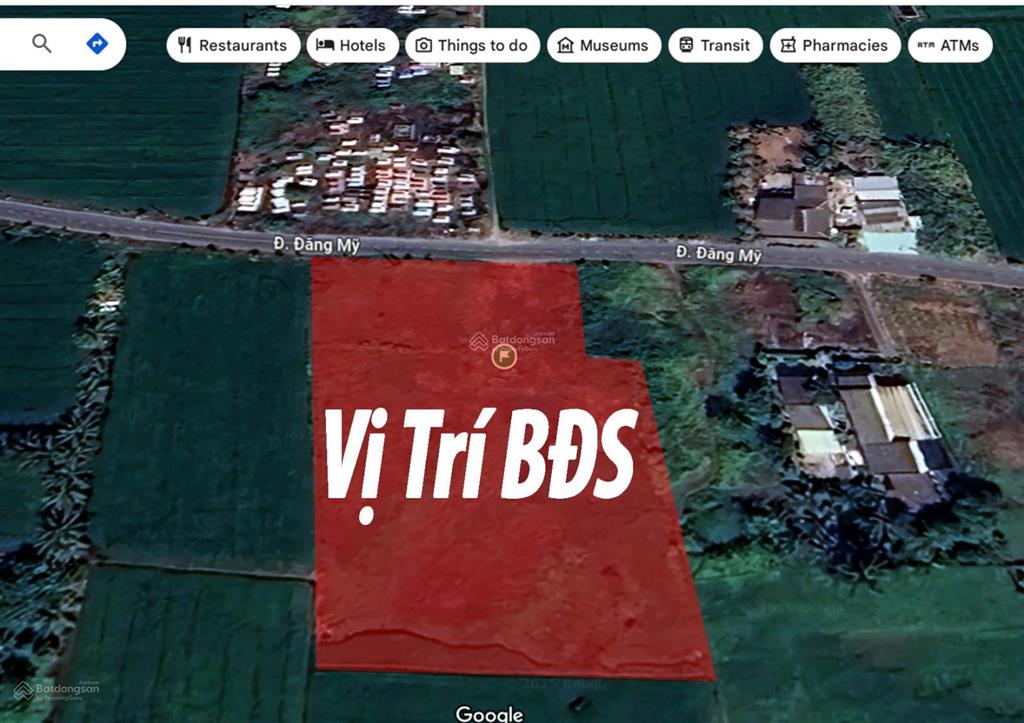 Đất thổ đường nhựa. mt đường đăng mỹ, cách quốc lộ 1km. đất 4.400m2 ngang 50m x 84m nở hậu, giá tốt
