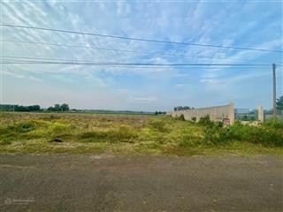 Bán 23000m2 đất mt đoàn trung còn, tt đất đỏ, brvt, cách biển phước hải 8km