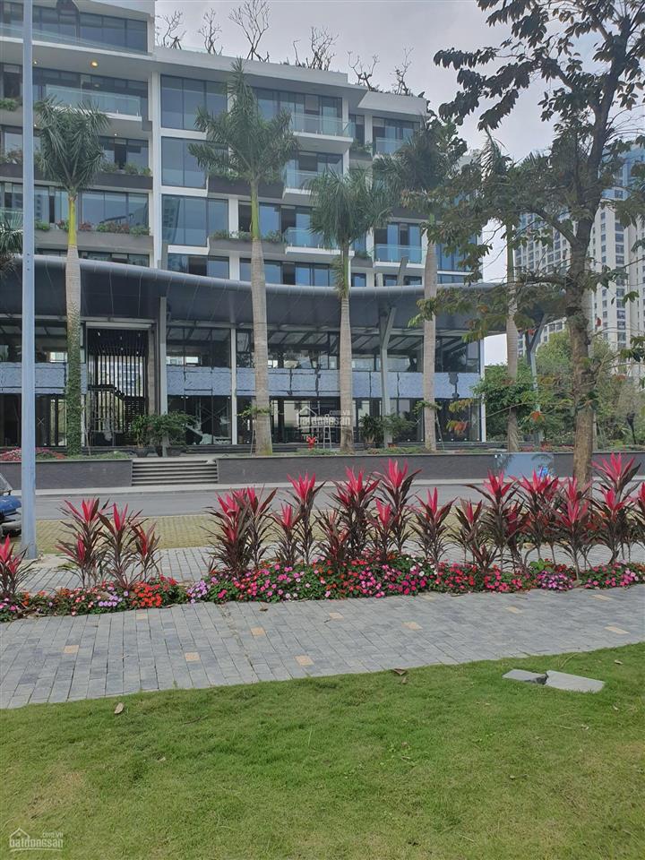 Bán nhà phố 9 tầng marina arc siêu phẩm triệu đô 548 m2 căn góc