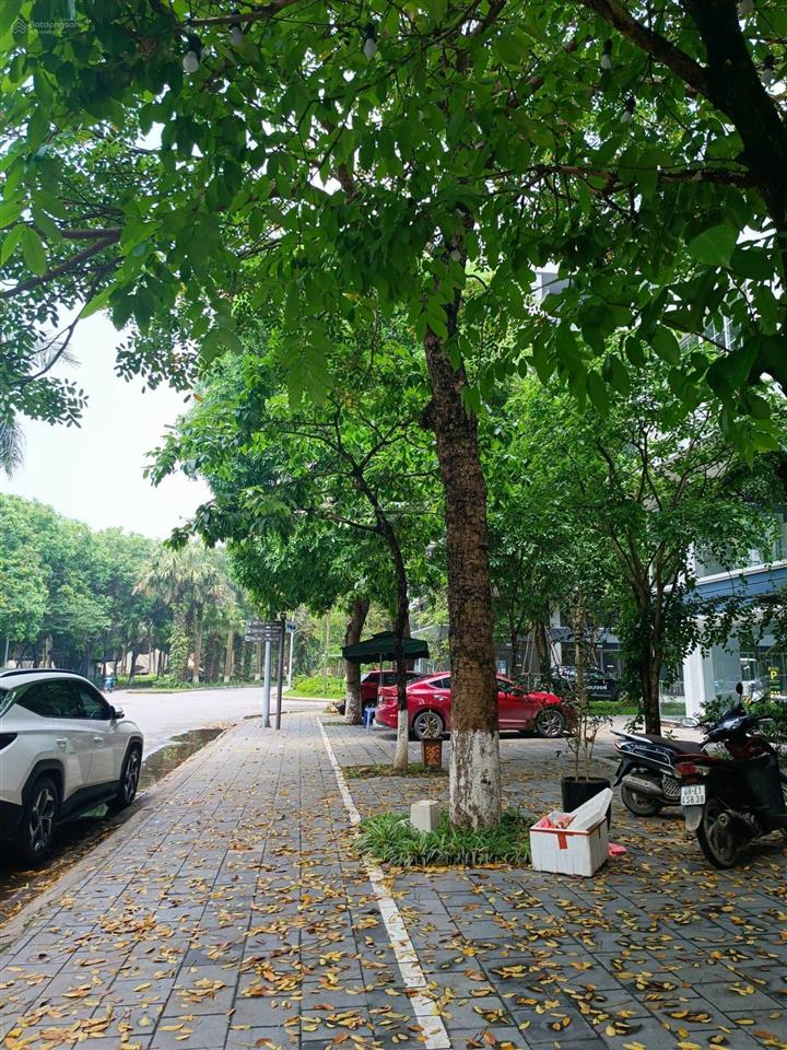 Bán gấp nhà phố thủy nguyên. dt 100m2, đã hoàn thiện đẹp