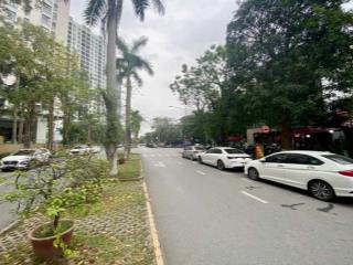 Bán biệt thự thương mại marina 241,5m2, 4 tầng, có thang máy, kinh doanh đông khách nhất ecopark