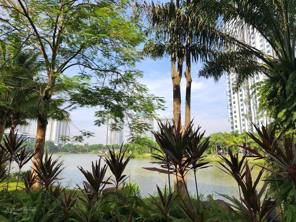 Bán biệt thự song lập mặt hồ mimosa diện tích 245m2 x 4 tầng, view hồ thiên nga