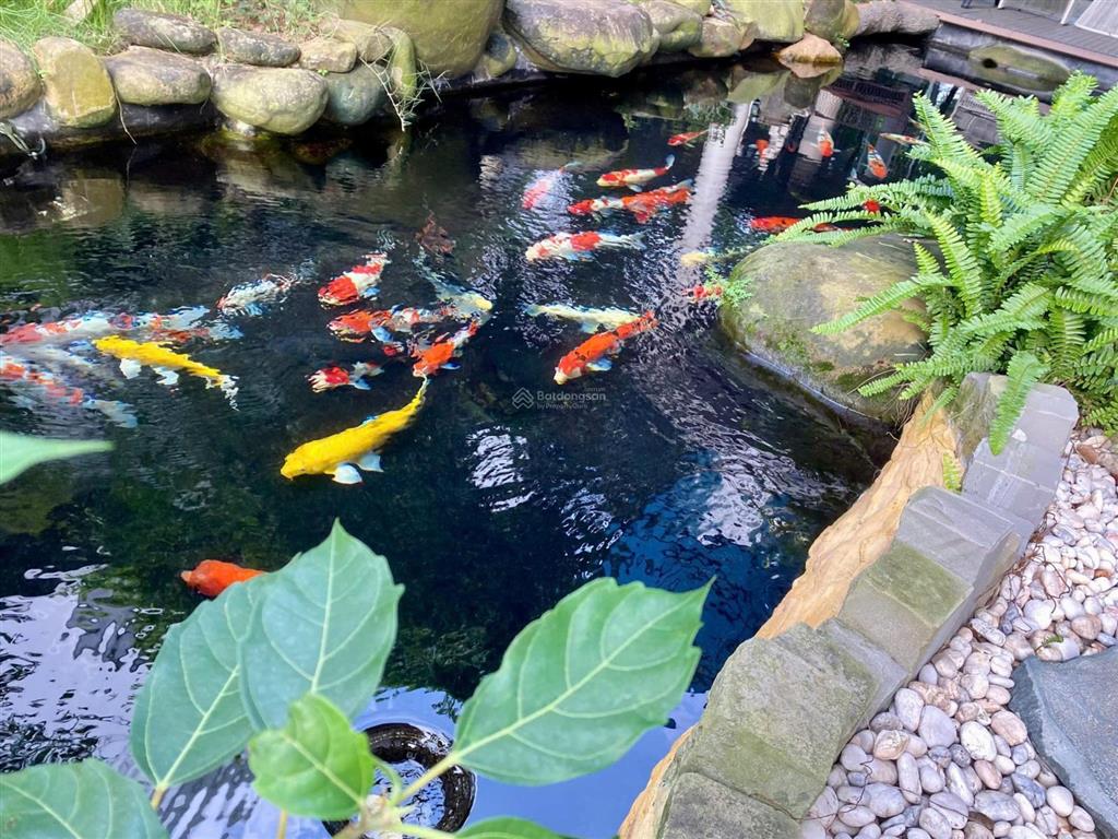 Cần bán biệt thự song lập mimosa 2 mặt đường 30m, view hồ  giá bán 5x tỷ  0932 375 ***