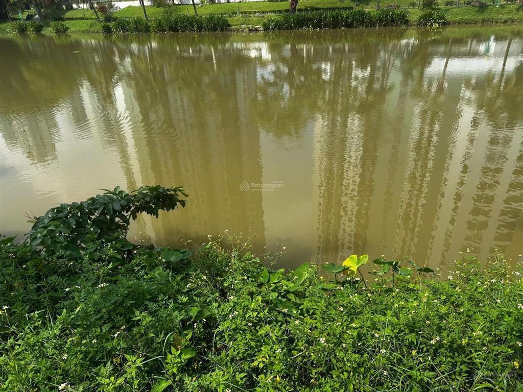Bán biệt thự mặt hồ aquabay  thiên nga  mimosa diện tích 500m2  4 tầng  view hồ thiên nga.