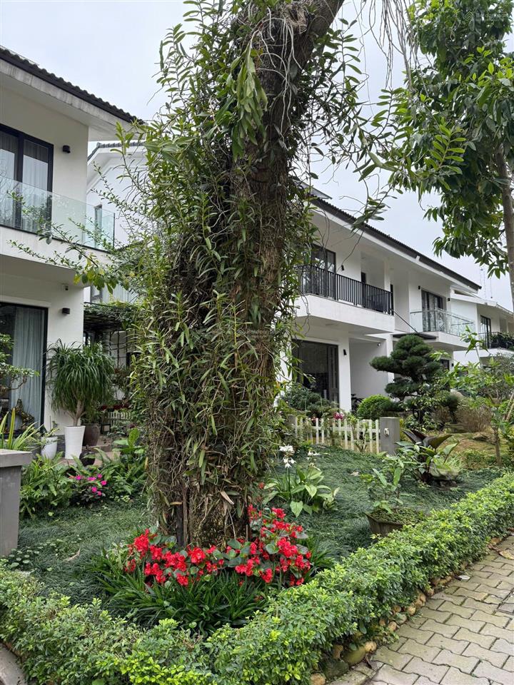 Bán biệt thự mimosa 211m2 3 tầng mặt công viên vườn hoa 0932 375 ***