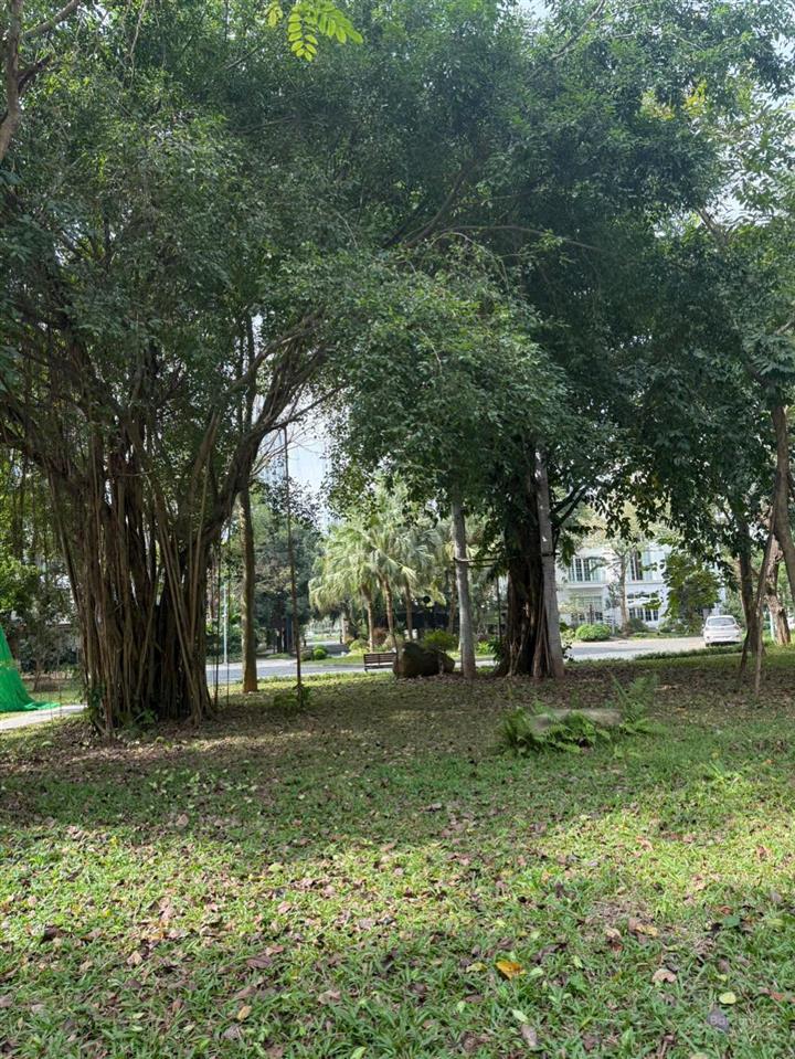 Bán biệt thự mimosa mặt công viên 226m2 hoàn thiện full nội thất đẹp. giá rẻ nhất   0932 375 ***