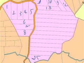 Bán sỉ 25 sổ bưng riềng, xuyên mộc. 34192.7 m2. đang chuyển thổ cư