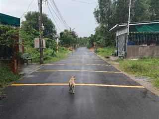 Chủ cần bán lô đất phú an, tp. hcm 175m2 giá rẻ chỉ 1 tỷ 250