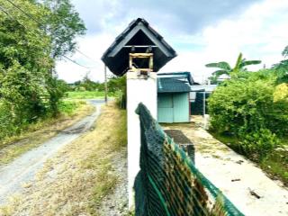 Đất vườn bình mỹ, củ chi. có sẵn nhà vườn cây ăn trái