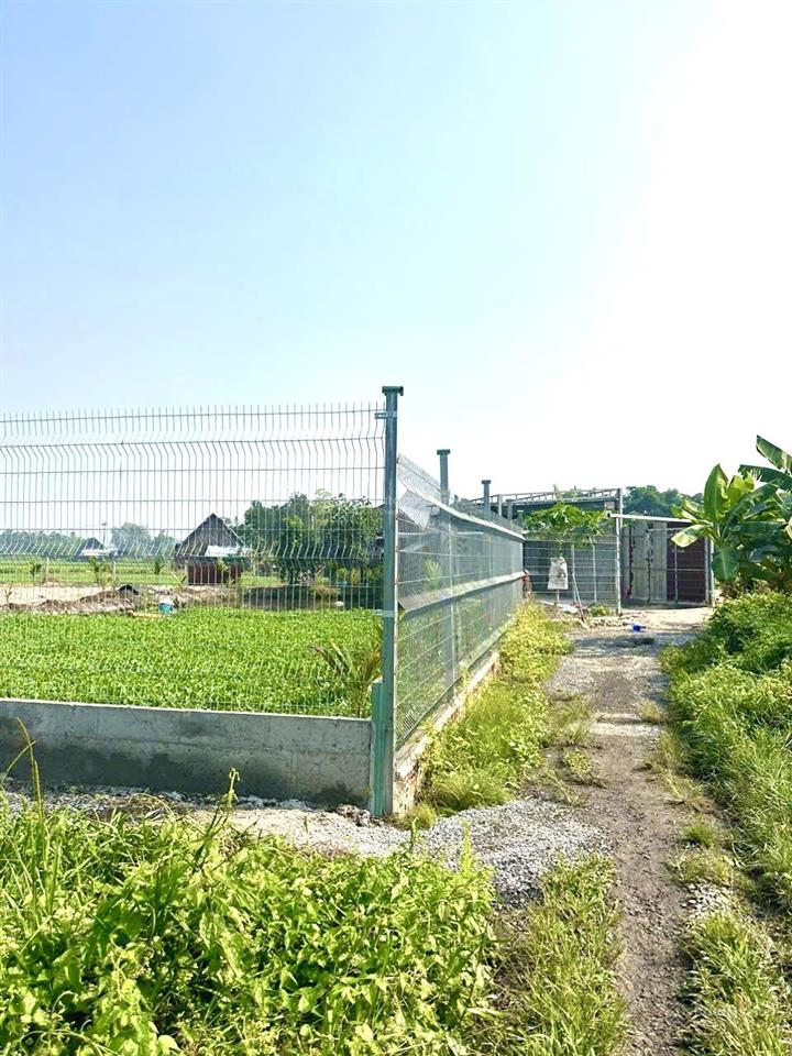 Đất vườn bình mỹ, củ chi. có sẵn khuôn viên nhà vườn đẹp đường ô tô