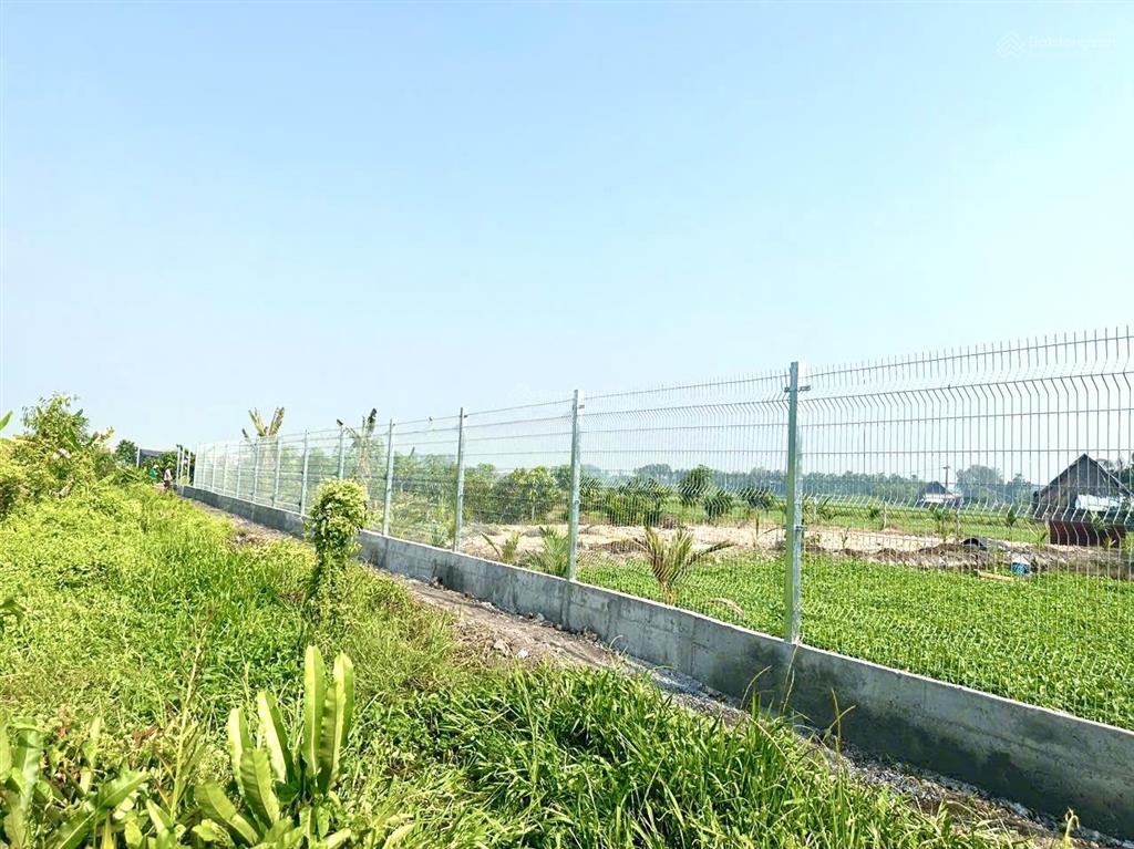 Đất vườn bình mỹ, củ chi. có sẵn khuôn viên nhà vườn đẹp đường ô tô