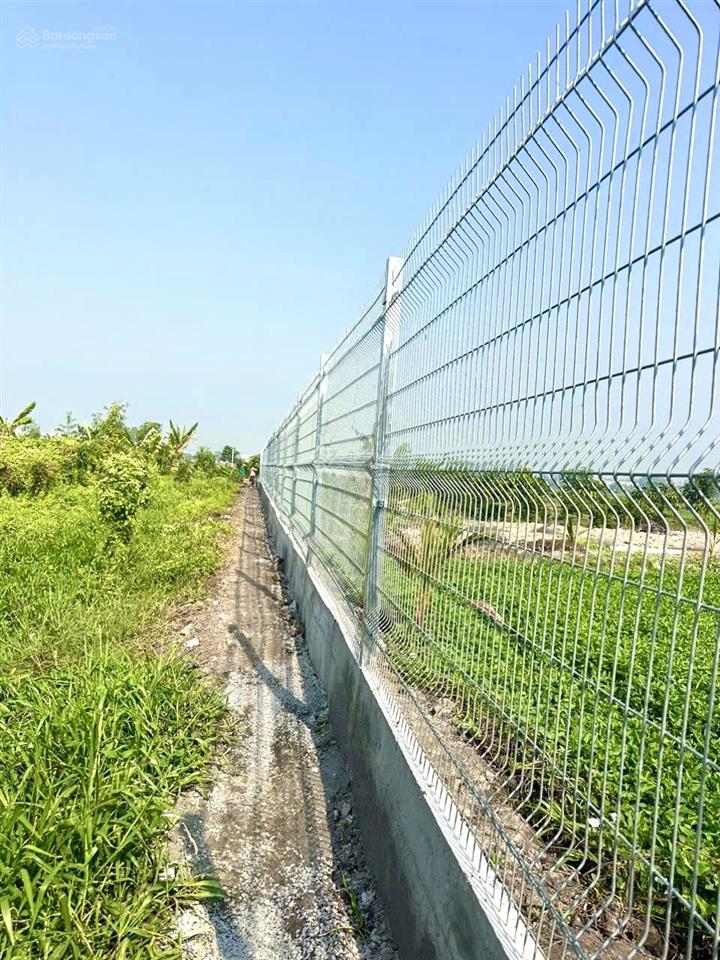 Đất vườn bình mỹ, củ chi. có sẵn khuôn viên nhà vườn đẹp đường ô tô