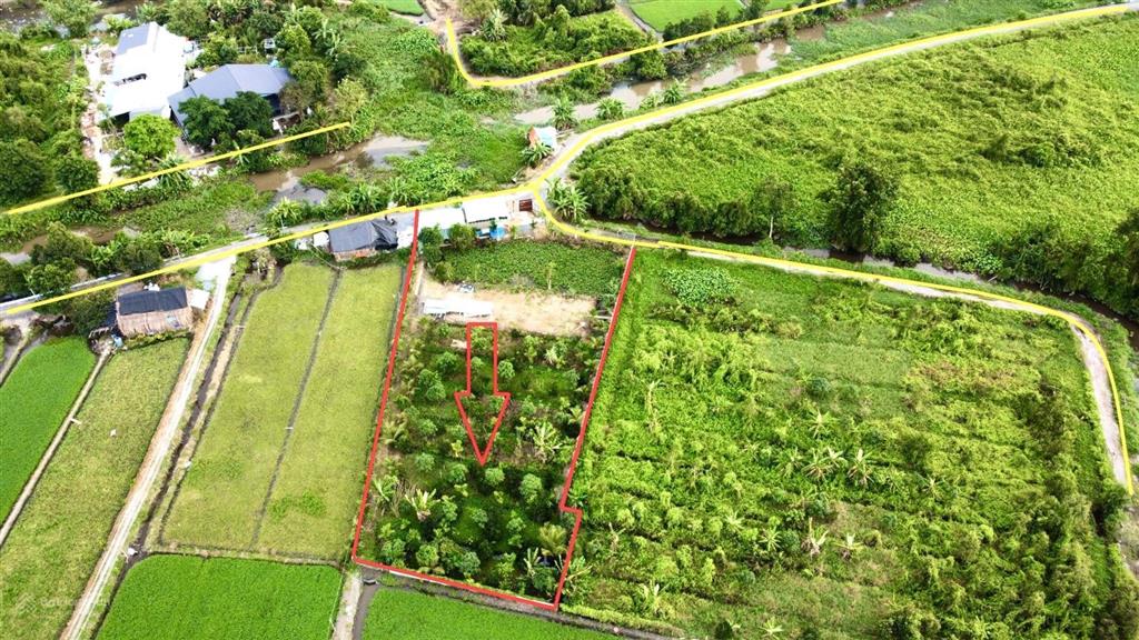 Đất vườn bình mỹ, củ chi. có sẵn khuôn viên nhà vườn đẹp đường ô tô