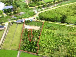 Đất vườn bình mỹ củ chi. có sẵn khuôn viên nhà vườn đẹp đường ô tô