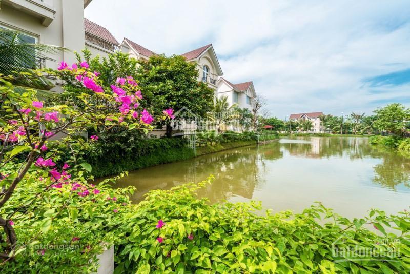 Bán gấp bt hoa phượng 03  08 hướng đn, 300.1m2 đất, xd 472m2 đơn lập view sông rộng, giá 89.5 tỷ