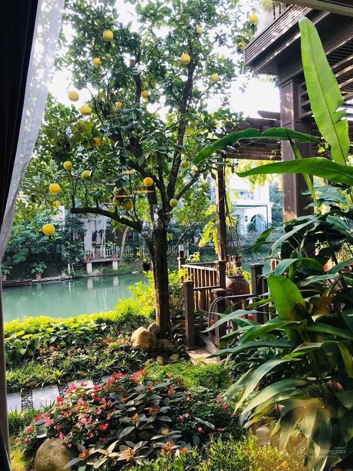 Bán nhanh bt hoa sữa 02  08 hướng đb 200.5m2 xây dựng 412m2 view vườn hoa lớn sông miên man 60.5tỷ