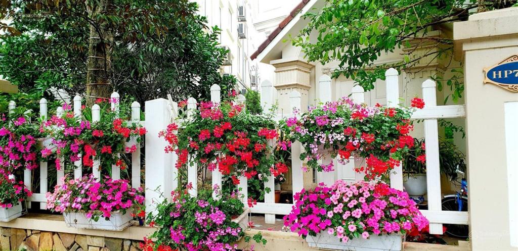 Bán lô góc anh đào 0828, khu vip 456m2, đất vuông, hoàn thiện 155 tỷ, cạnh vườn hoa lớn sông rộng