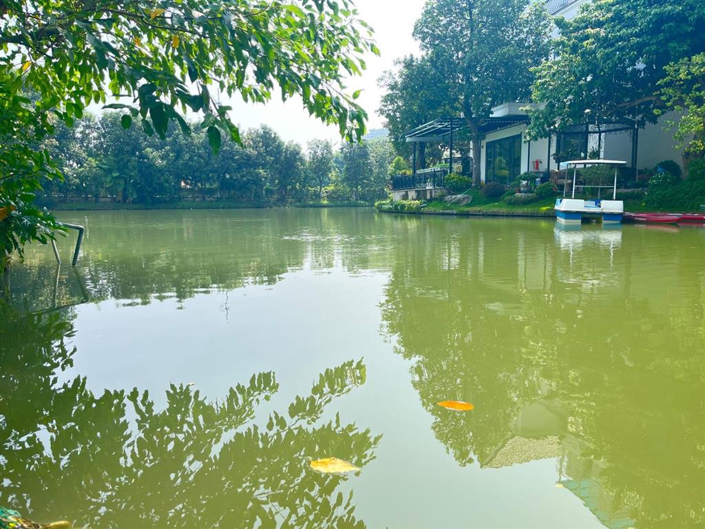 Bán lô góc hoa phượng 03  01, khu vip 328.1m2, hoàn thiện full nội thất sông rộng giá 125 tỷ