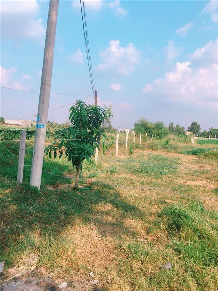 Bán 385m2 thổ cư tại xã hoà khánh, đức hòa cách vinhome 1.5km giá 2,5 tỷ tl