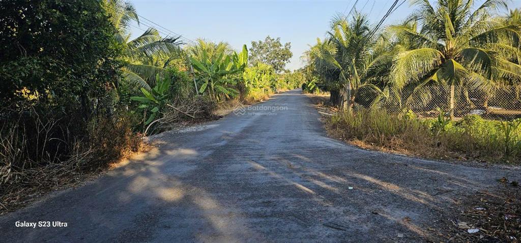 Bán gấp lô đất thổ cư giáp tân an, đang trồng dừa 3 năm thu hoạch, sổ đỏ sẵn
