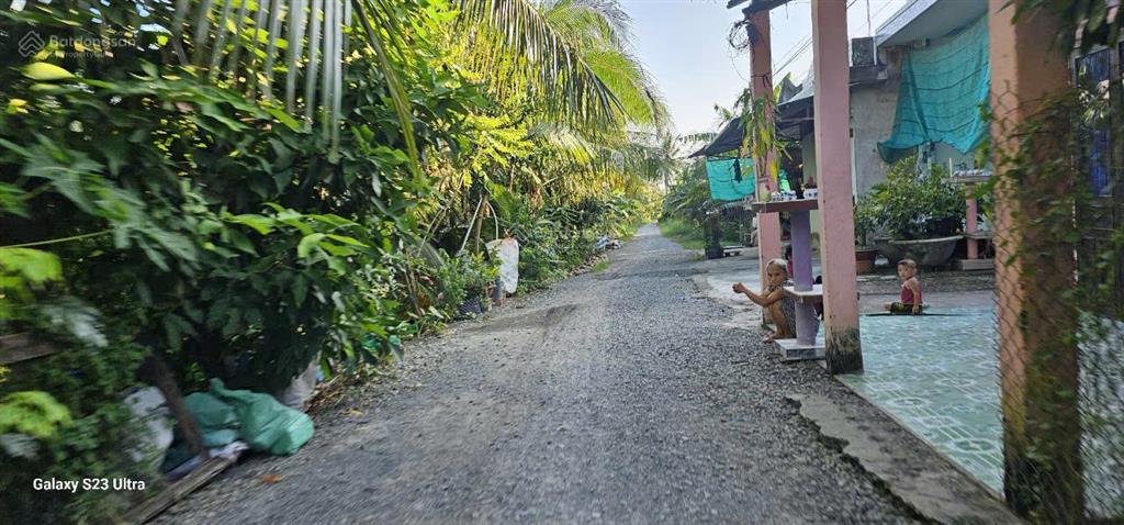 Bán gấp lô đất thổ cư giáp tân an, đang trồng dừa 3 năm thu hoạch, sổ đỏ sẵn
